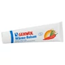 Imagine 2/2 - Balsam pentru picioare cu efect de încălzire GEHWOL, 75 ml